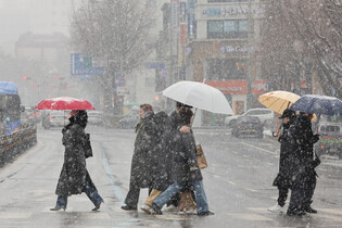 Snow in downtown Seoul