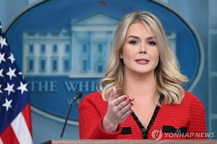 U.S. authorities nab S. Korean convicted of possessing material depicting minors in sexually explicit conduct: White House
