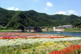 단양 도담삼봉·잔도·스카이워크 '한국관광 100선'