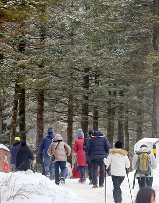 Climbing snow-covered Daegwallyeong mountain pass