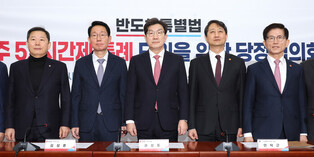 Ruling party-gov't meeting