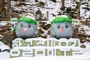 '눈꽃 만발' 정선 항골 숨바우길, 겨울 힐링 코스로 주목