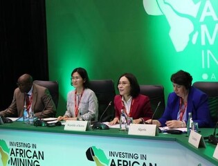 S. Korea vows to build 'mutually beneficial' partnership with Africa in critical minerals