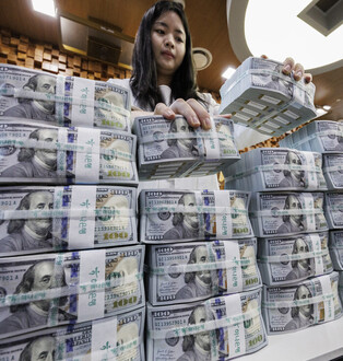 S. Korea's foreign reserves hit 5-yr low in Jan.