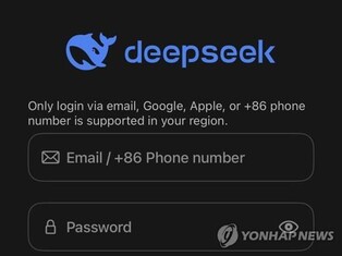 Finance ministry to block DeepSeek access citing technical concerns