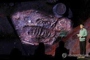 땅에 묻힌 두 마리 개·귀한 보석상자…월성서 찾은 의례 흔적(종합)