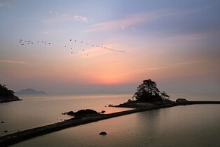[걷고 싶은 길] 노벨문학도시 장흥의 한승원 문학 길