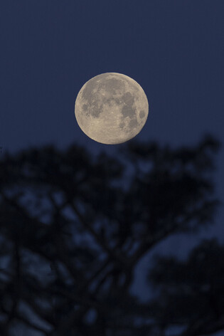 Setting of this year's 1st full moon on lunar calendar