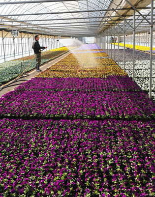 Flower nursery