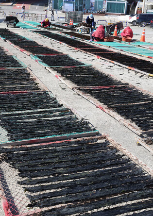 Seaweed drying