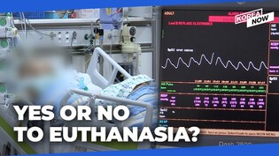 Over 80% of Koreans said yes?!