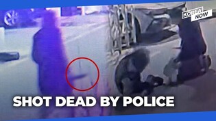 Weapon-wielding stalker shot dead by police