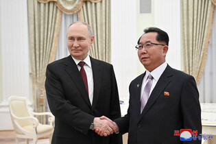 Putin meets N.K. politburo member