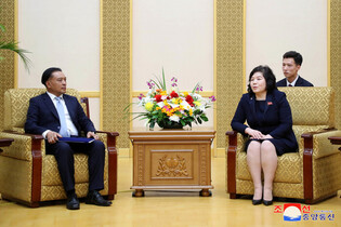 N. Korean FM meets senior Laotian diplomat