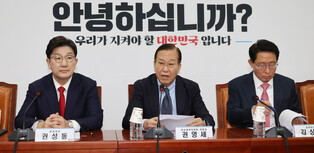 Ruling party's interim leader