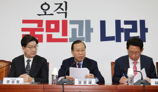 Ruling party's interim leader