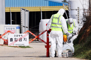 Foot-and-mouth disease outbreak in S. Korea