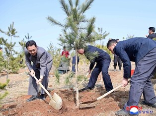 Planting trees in N. Korea