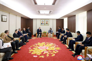 N. Korea's top diplomat meets Russia's vice foreign minister