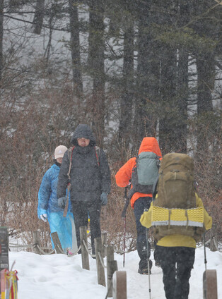 Snow in Daegwallyeong