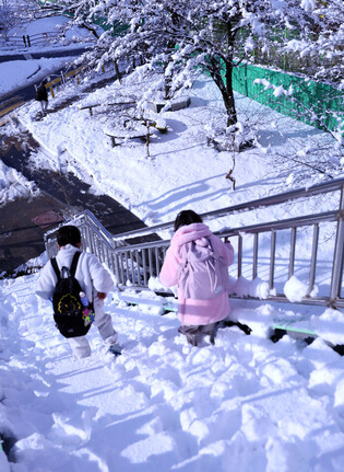 Heavy snow in northeastern S. Korea