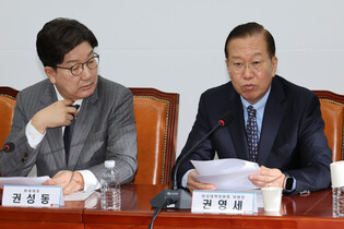 Ruling party's interim leader, whip