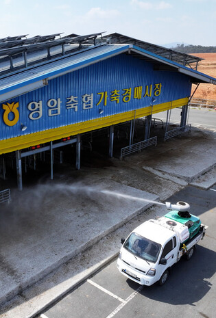 Foot-and-mouth disease outbreak in S. Korea