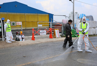 Foot-and-mouth disease outbreak in S. Korea