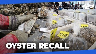 FDA warns against oysters imported from S. Korea