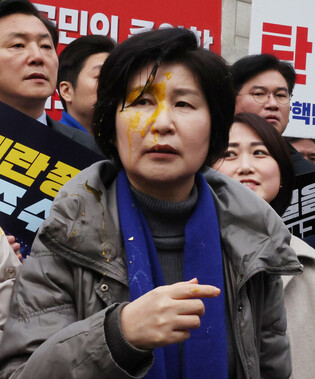 Opposition party's rally in front of Constitutional Court