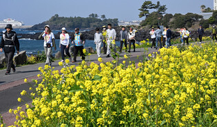 Springtime coastal walk