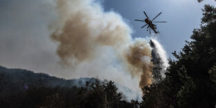 Wildfire in southeastern region