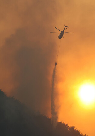 Wildfire in southeastern region