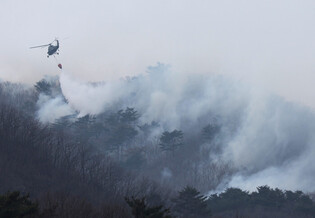 Wildfire in southeastern region