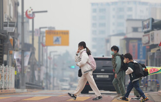 Aftermath of wildfire in southeastern region