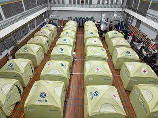 Aftermath of wildfire in southeastern region