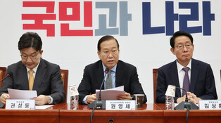 Ruling party's interim leader