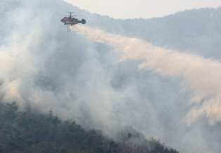 Wildfire in southeastern region