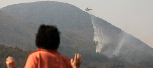 Wildfire in southeastern region