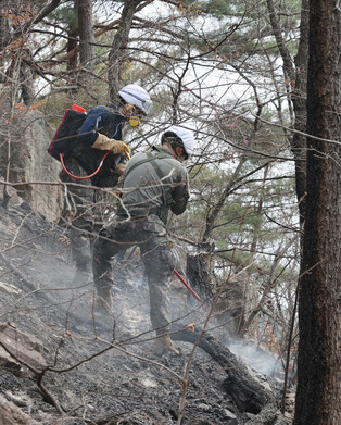 Wildfire in southeastern region