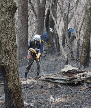 Wildfire in southeastern region
