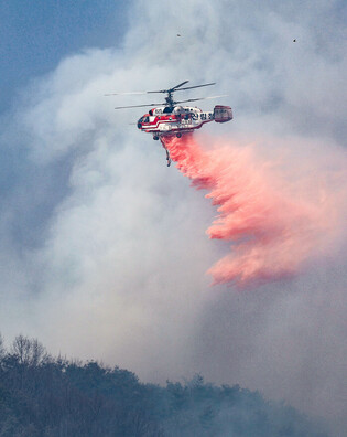 Wildfire in southeastern region