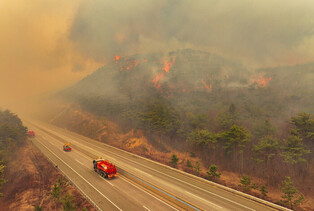 Wildfire in southeastern region