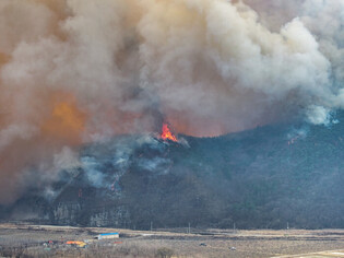 Wildfire in southeastern region