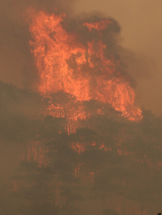 Wildfire in southeastern region