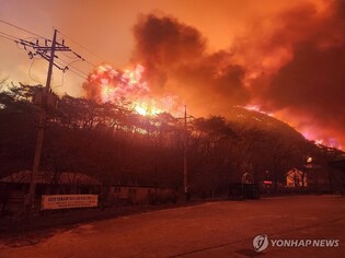 (LEAD) Historic Buddhist temple in Uiseong burned down by wildfires