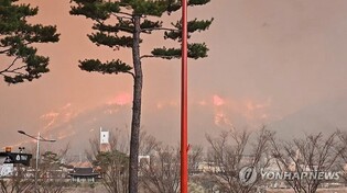 (LEAD) Authorities transferring inmates from prisons in Andong, Cheongsong amid wildfires