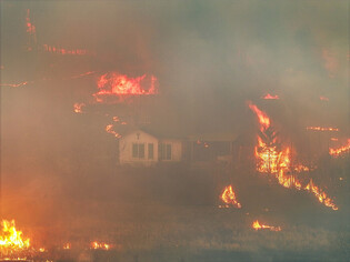 Wildfire in southeastern region