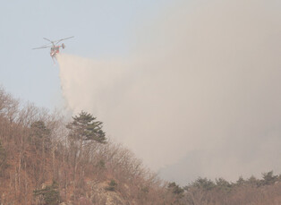 Wildfire in southeastern region