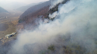 Wildfire in southeastern region